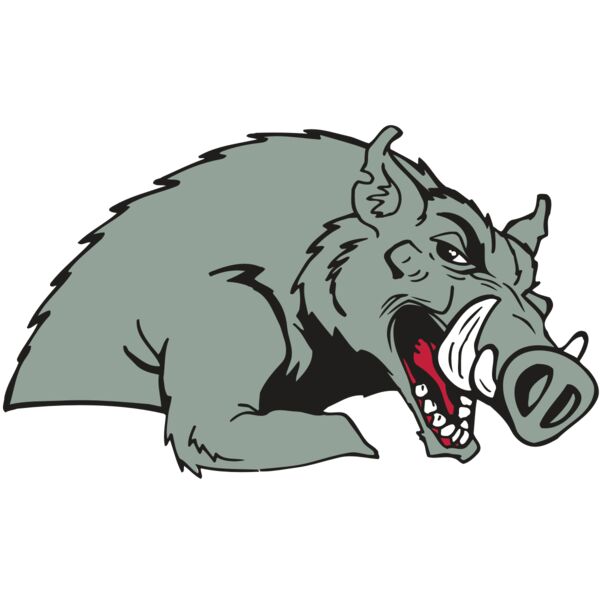 AR RAZORBACK 14 RC Thumbnail